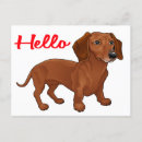 Search for dachshund dog postcards Puppy