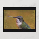 Search for angel wings postcards Nature