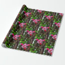 Search for apple blossom gift wrap Flowering tree
