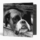 Recherche de fenêtre bureau fournitures Blanc