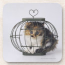 Search for cage barware Animal
