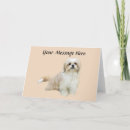 Search for shih tzu cards Puppy