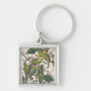 Search for parakeet keychains Illustration