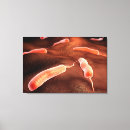 Search for digitally generated image canvas prints Abundance
