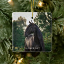 Recherche de elegant pet memorial ornaments Élégant