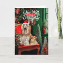 Search for afghan hound christmas cards Pets