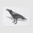 Search for raven tissue paper Birds