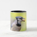 Search for blue jay mugs Wild