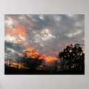 Search for winter trees art Pink
