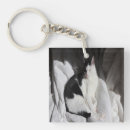 Search for black and white tuxedo cat keychains Adorable