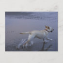 Search for blurred postcards Outdoors