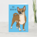 Search for mexican chihuahua cards Puppies