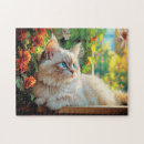 Search for ragdoll cat puzzles Kitten