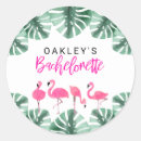 Search for tropical flamingos stickers For her