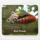 Search for red panda mousepads Mammal