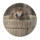 Search for hedgehog cutting boards Nature