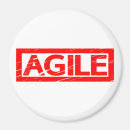 Search for agility magnets Fun