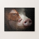 Search for piggy puzzles Farm