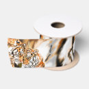 Recherche de tigre rubans Orange