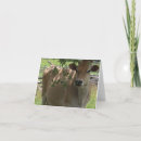 Recherche de vache jersey vœux cartes Animaux