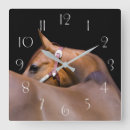 Recherche de cheval noir horloges Portrait