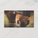 Search for halter Equestrian