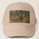 Recherche de refuge casquettes Animaux