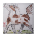 Recherche de poney de carreaux Équin