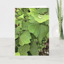 Recherche de feuille ginkgo vœux cartes Arbre