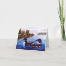 Recherche de dingue cartes postales Faune