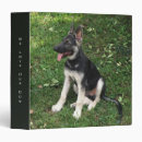 Search for herding avery binders Puppy