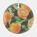 Search for pattern design ornaments Vintage