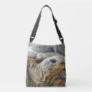 Search for tortoise bags Reptiles