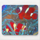 Search for saltwater electronics Aquarium