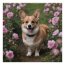 Search for corgis posters Happy