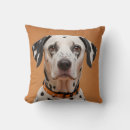Search for dalmatian pillows Fun
