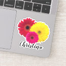 Search for red gerbera electronics Daisies