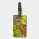 Search for odocoileus accessories Deer