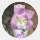 Search for calico stickers Pets
