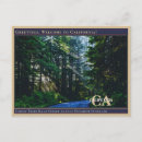 Recherche de avenue de moi cartes postales Illustration