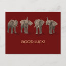 Search for good wishes postcards Sweet