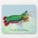 Search for mantis mousepads Shrimp