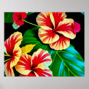 Search for hibiscus flower posters Red