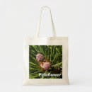 Search for pine cone accessories Trees