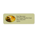 Search for zen return address labels Harmony
