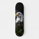 Search for icon skateboards United states