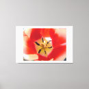 Recherche de macro de fleur art Floral