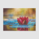 Search for lotus flower tissue paper Floral