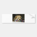 Search for toy bumper stickers Cute