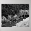 Search for black and white mountain posters Forest